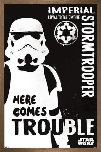Stormtrooper Id Card